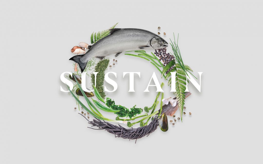 Ōra King Awards – The Journey to Sustainability