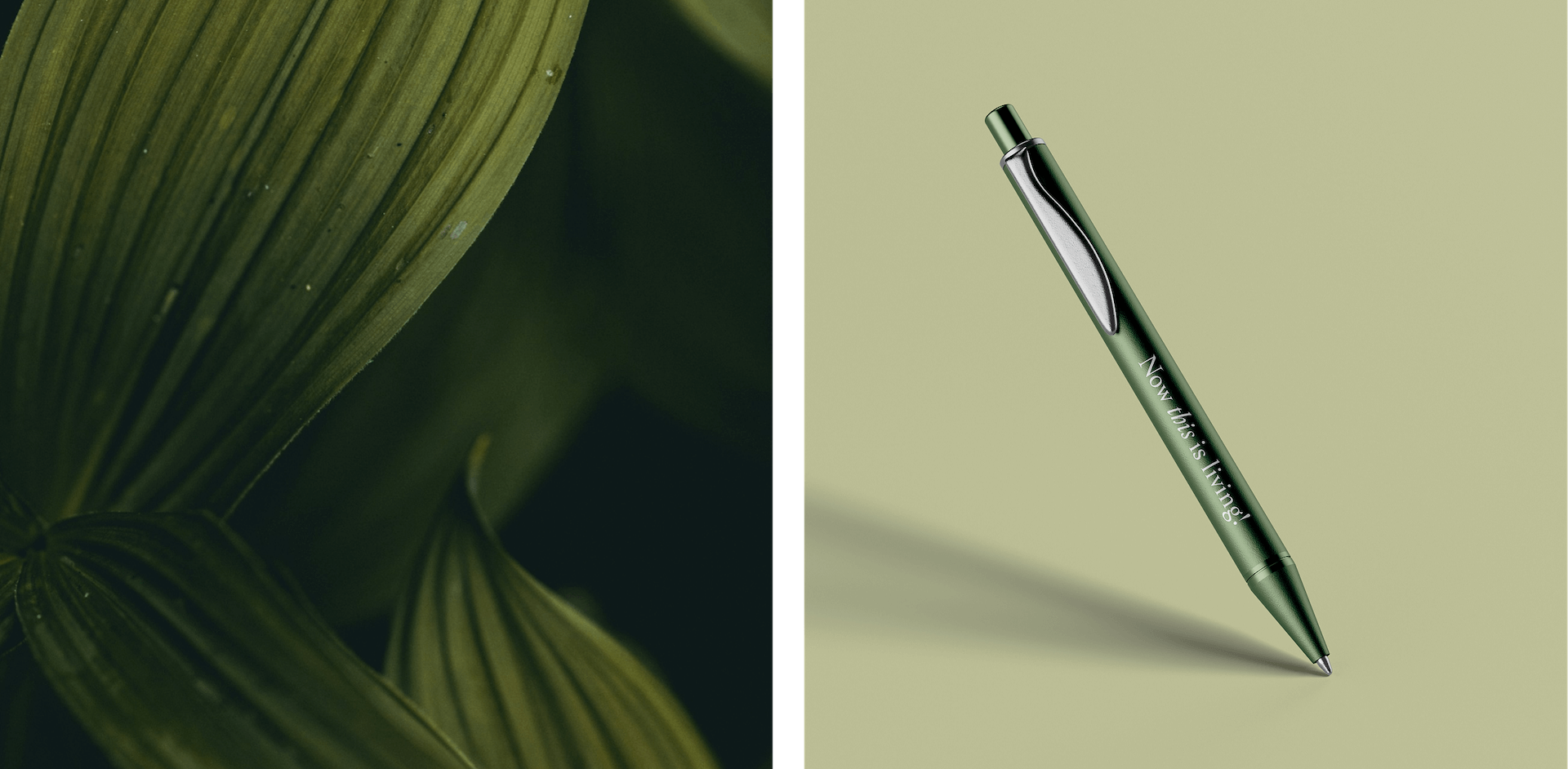 Olive estate lifestyle village green foliage and promotional pen desig