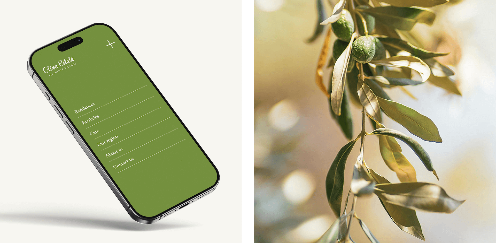 Olive estate lifestyle village mobile site and olive branch design