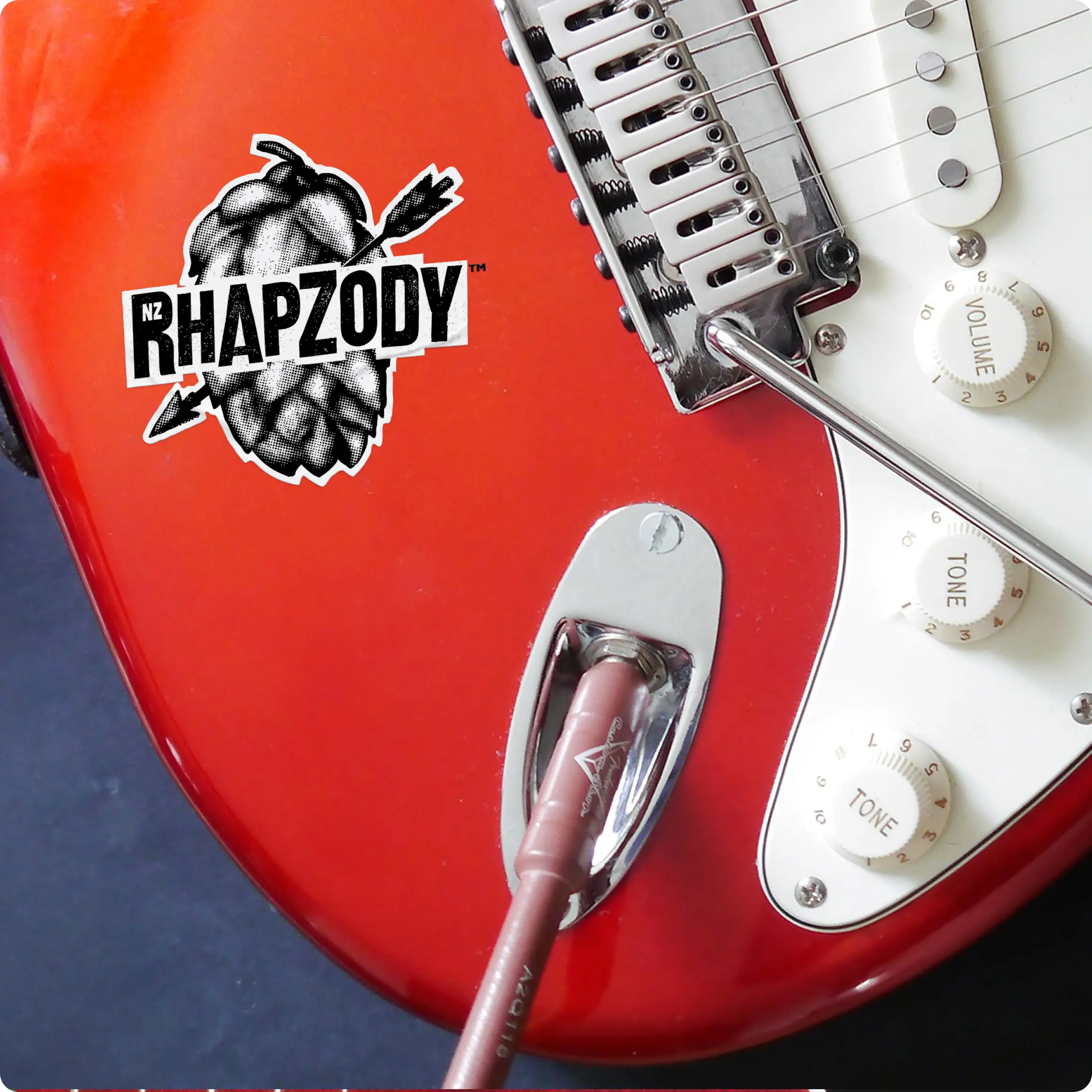 Downing-nz-rhapzody-hop-branding-guitar-sticker