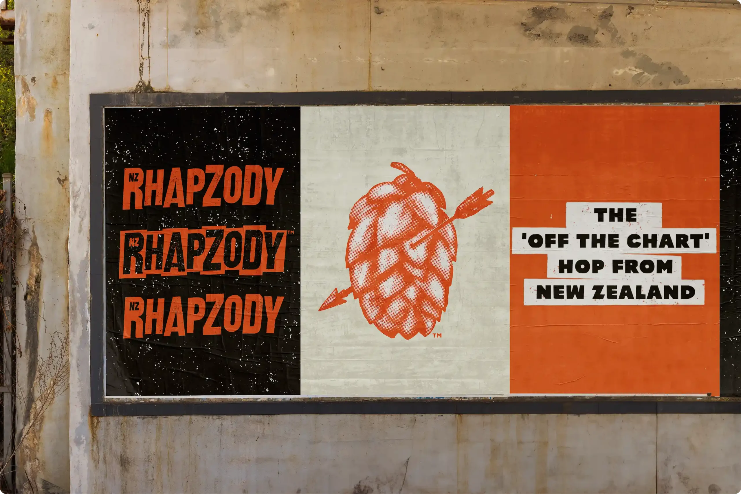 Downing-nz-rhapzody-hop-branding-street-posters