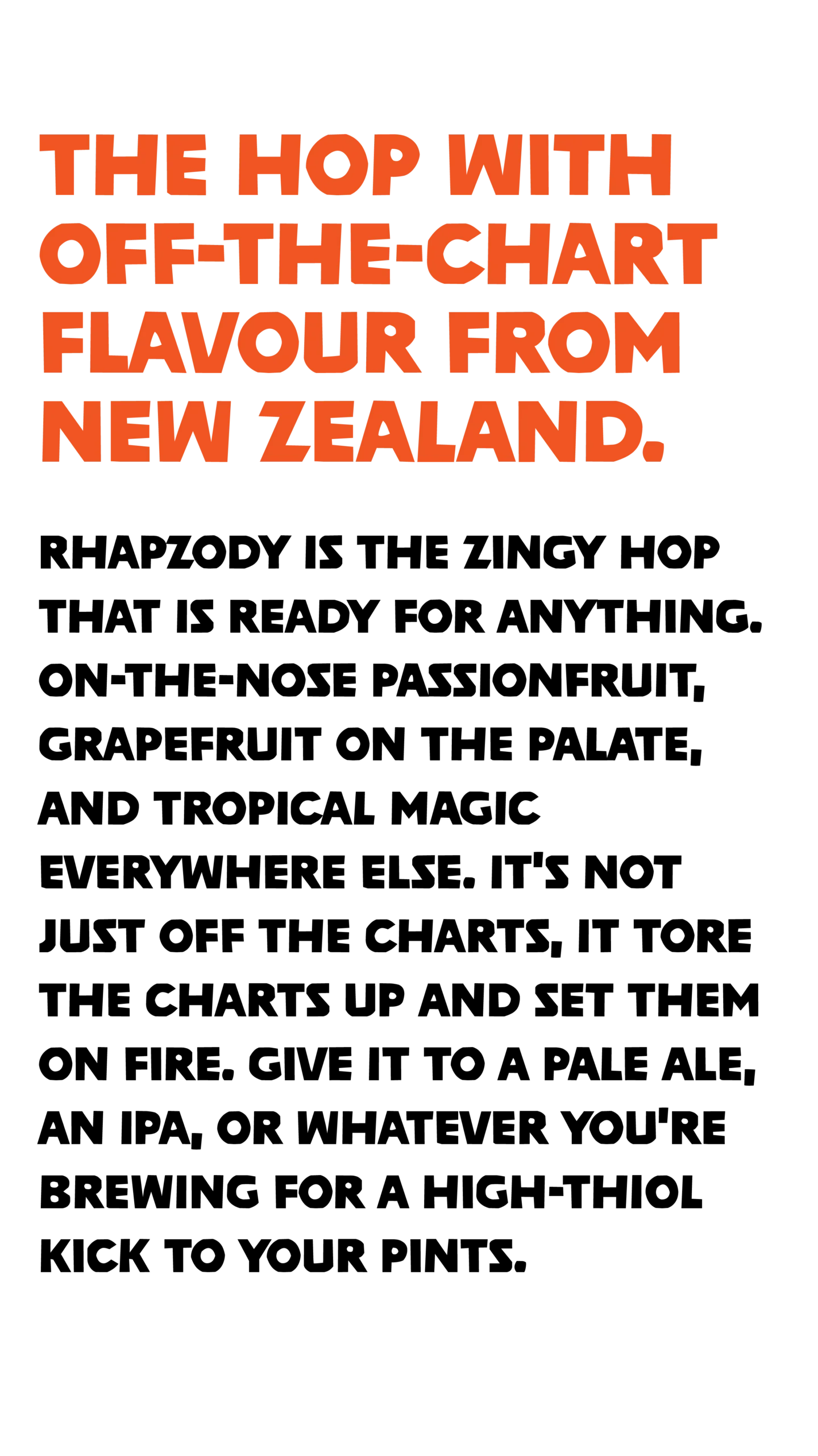 Downing-nz-rhapzody-hop-brand-identity-logo