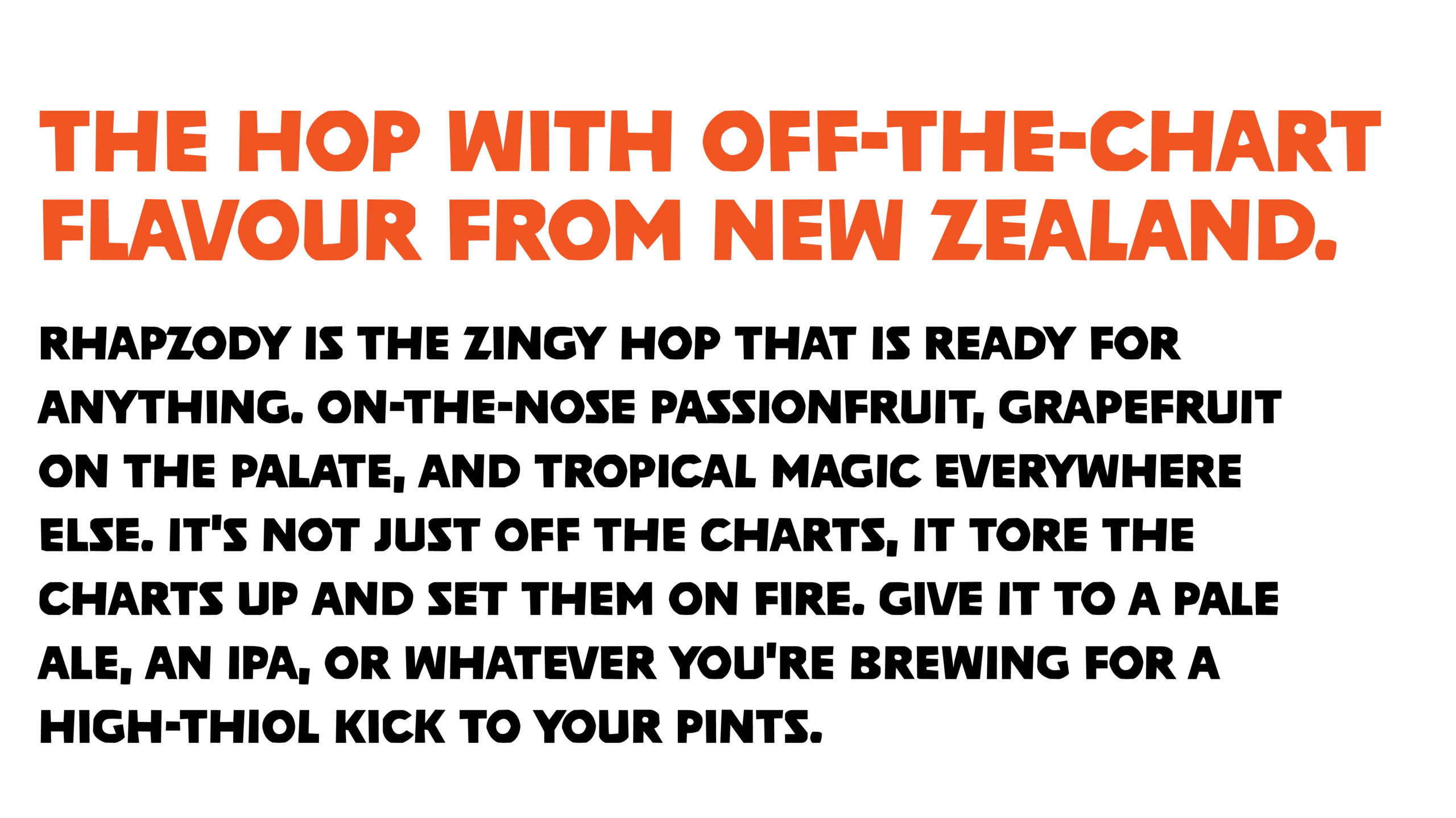 Downing-nz-rhapzody-hop-brand-identity-logo