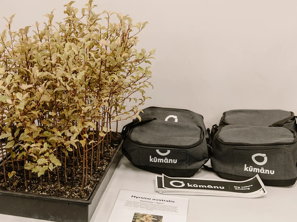 Plants and bags on a table