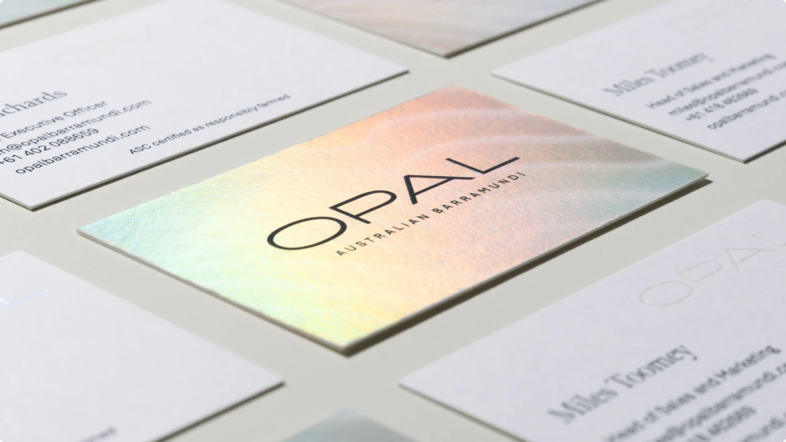 Downing portfolio opal business cards scaled