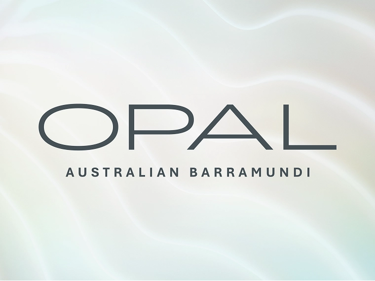 Opal Australian Barramundi Brand Development and Brand Rollout