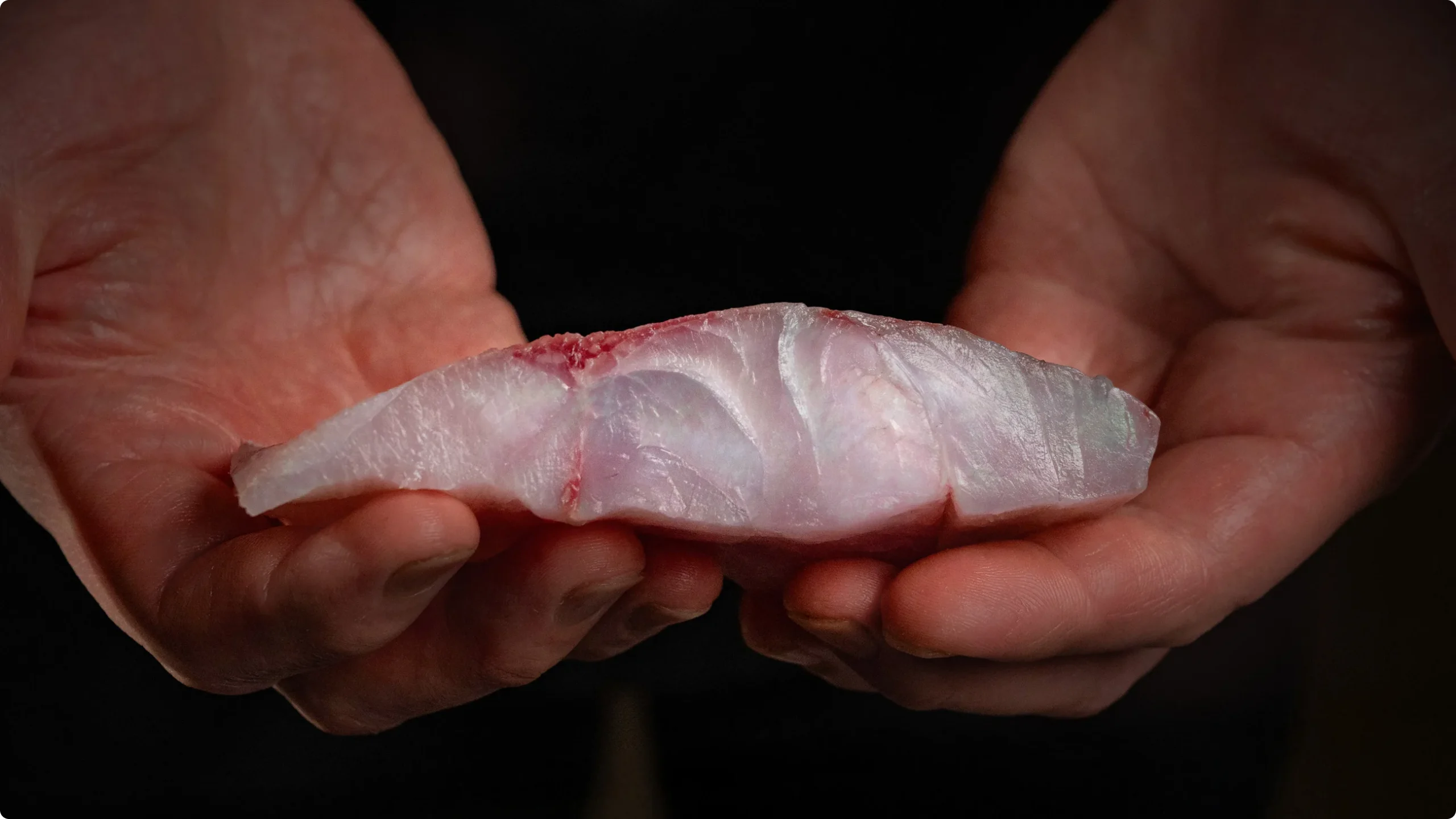 Downing portfolio opal flesh in hands scaled