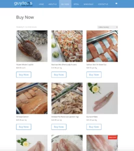 Launching e-commerce store in New Zealand 7-step pre-launch checklist