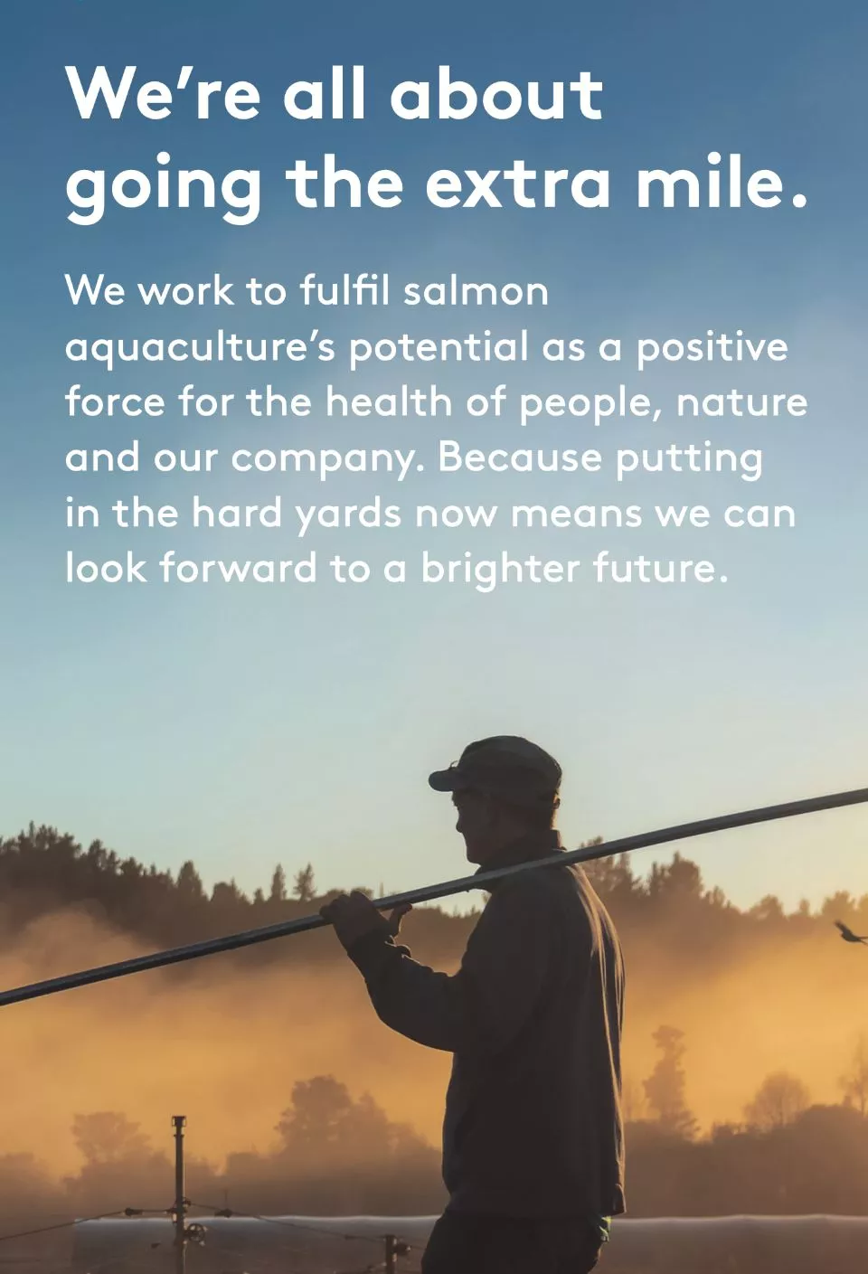 New Zealand King Salmon brand guidelines include logo, colour, typography, and core messages.