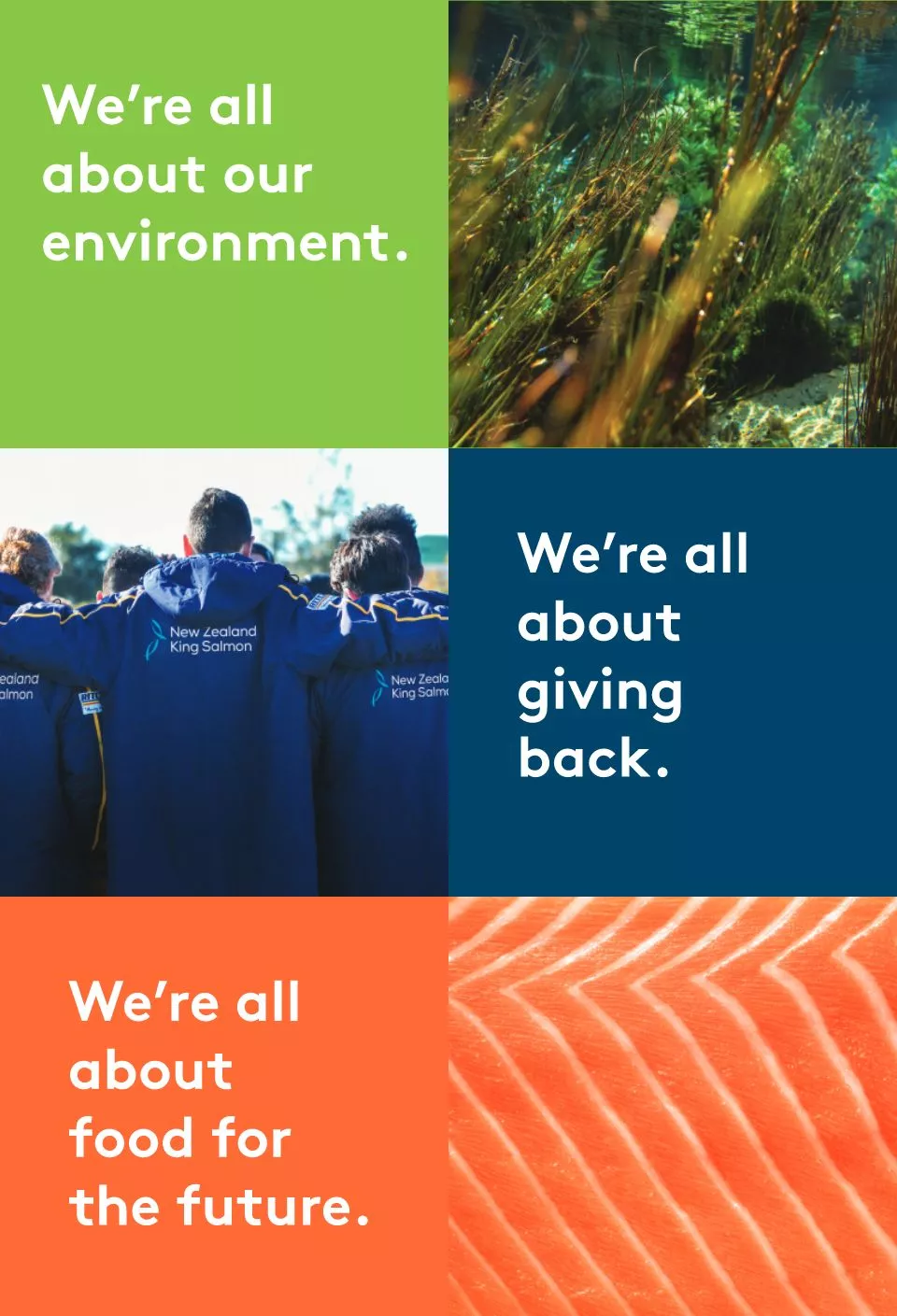 New Zealand King Salmon brand information with the message "We're all about " Our environment, Giving back and Food for the future