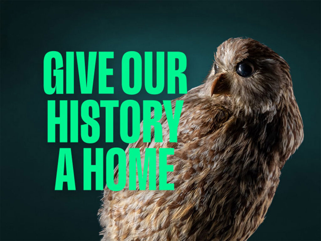 Campaign to re-home Nelson’s $20m museum collection