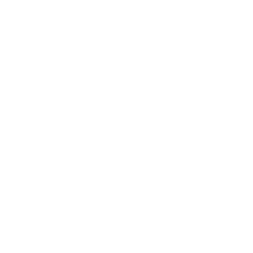 Logo of Nelson Arts Festival