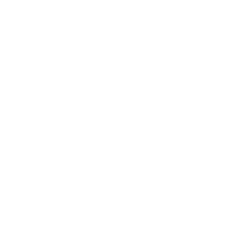 Logo of Burnside High School