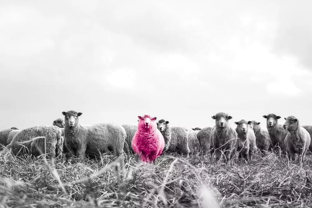Time to give your brand a personality make-over - everyone wants to stand out but no one wants to be different.