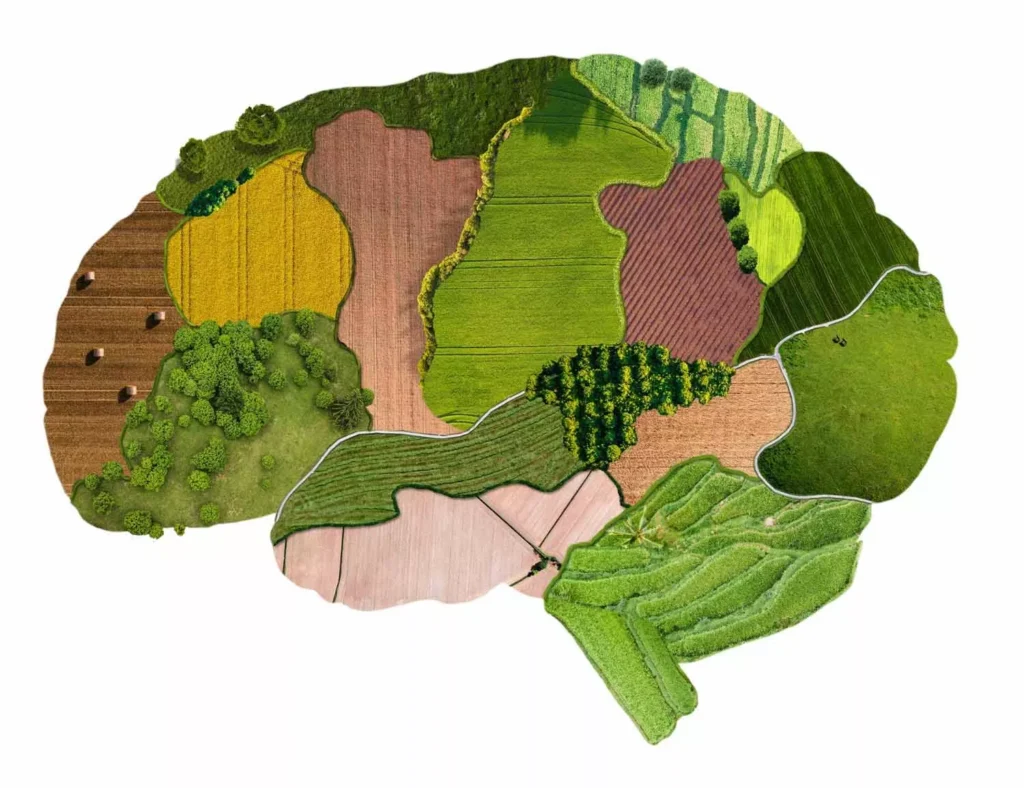 Top of mind brand awareness illustration for consumer mindshare positioning