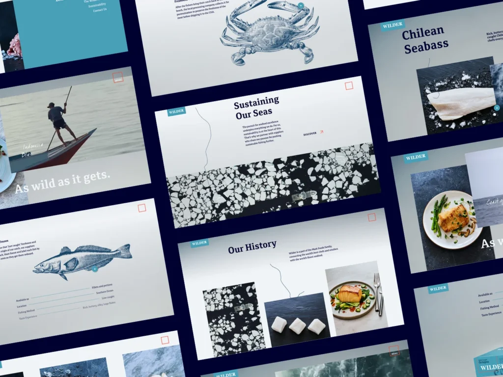 Custom website UI layout mockups displayed on desktop screens highlighting brand photography for Wilder.